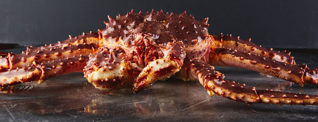 Live king crab on gray background close-up © Irina Burakova