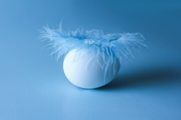 An egg with a blue feather lying on it on a blue background