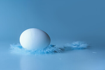 Egg lying on feathers on a blue background, side view