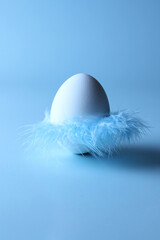 Egg with feather skirt, easter egg, selective focus