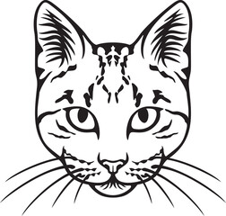 Fototapeta na wymiar Cat face black and white. Vector illustration.