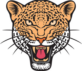 Leopard face (animal head) color. Vector illustration.