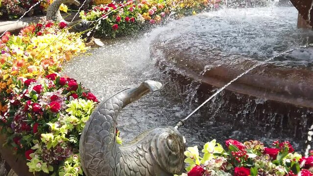 TIMFLORALIS international flower festival held in Timisoara, Romania. Details of a pubic fountain with flower decorations