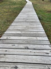 Fototapeta premium a path of weathered gray wooden planks across a meadow through nature 
