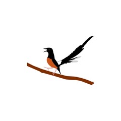  chirping bird icon