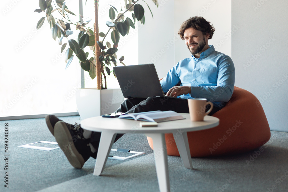 Poster smiling businessman using laptop sitting on beanbag in office