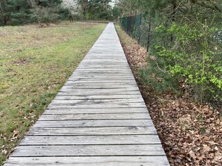 Fototapeta premium a path of weathered gray wooden planks across a meadow through nature 