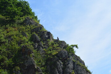 rocks with an eagle sitting on top