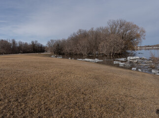 Submerged trees in the flooded Red River in Selkirk, Manitoba