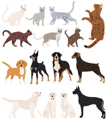 Obraz premium cats and dogs set flat design, isolated, vector