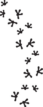 Lizard footprints black and white (print track). Vector illustration.
