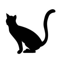 cat silhouette, isolated on white background vector