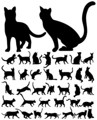 cats set silhouette, isolated on white background vector