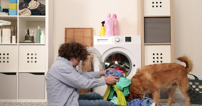 Housework. Boy doing laundry at home loading clothes into washing machin and playing with dog.