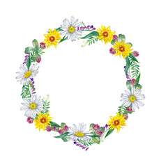 Floral round wreath of seasonal meadow plants and wildflowers. Yellow and white daisy, Vicia field pease, clover. Watercolor hand painted isolated element on white background.