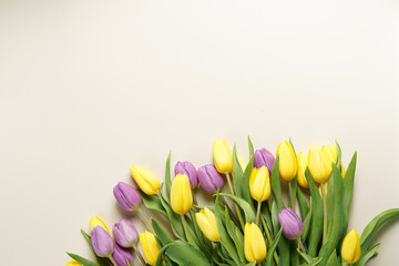 A bunch of yellow and purple tulips on a beige colored background, copy space for text