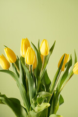 A bunch of yellow tulips on a pastel green background, copy space for text