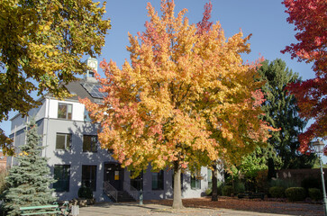 Aachen Eilendorf: Oktober 2016