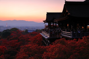 清水寺　京都　日本