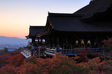 Fototapeta premium 清水寺 京都 日本