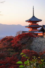 Fototapeta premium 清水寺 京都 日本