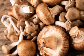 Fototapeta premium Close-up of fresh brown mushrooms and small mushrooms on table