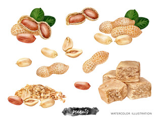 Peanut watercolor isolated on white background. Peanuts, peanut butter fudge