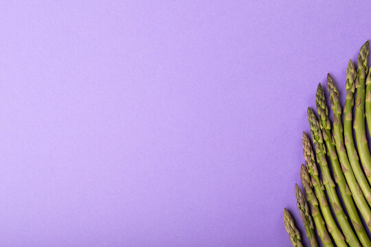 Directly above view of copy space with raw asparagus arranged side by side on purple background