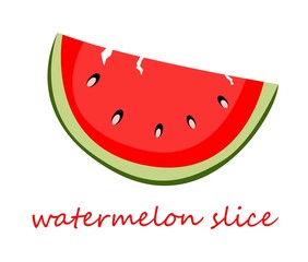 ripe slice of watermelon. colorful vector illustration