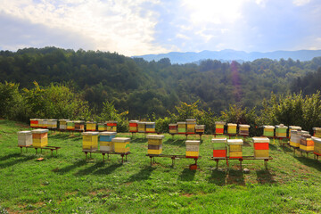 Bee hives in Moracha Monastery in Montenegro