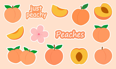 Set Peach fruits stickers printable