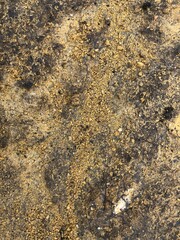 Dirty yellow soil texture. Closeup photo of a yellow ground.