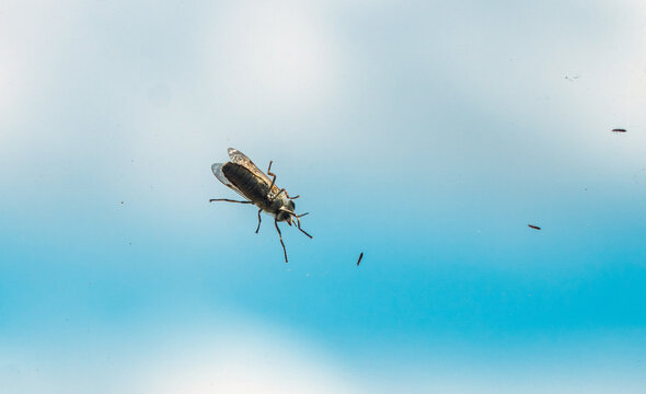 Unterseite einer Bremse