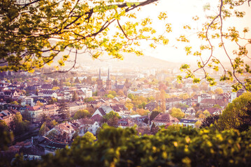 Freiburg von oben mit Bäumen und Natur