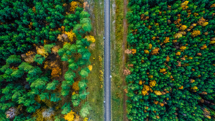 Top down view of the coniferous forest and railway tracks. Early autumn colors. 