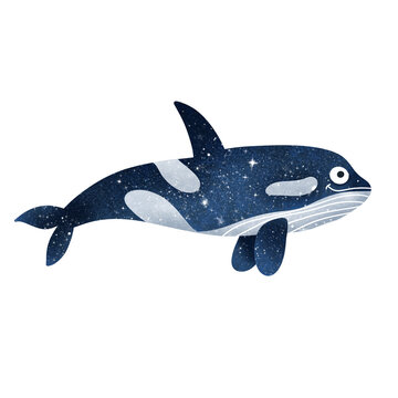 Cartoon orca isolated on a white background. The illustration is suitable for sublimation on T-shirts, mugs, pillows, postcards.