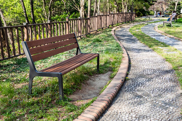Fototapeta na wymiar Empty bench in the park on a sunny day