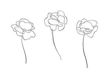 Contour illustration of poppy flower. Сontemporary illustration for cosmetics, perfumeries and food packaging.