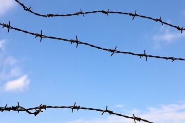 Barbed wire on background of blue sky and white clouds. Concept of boundary, prison, war or immigration