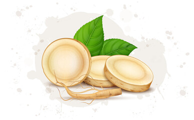 Ginseng root slices with ginseng root branches vector illustration with green leaves