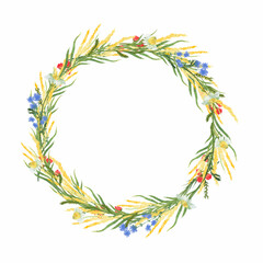 Wreath of wild forest herbs and flowers isolated on white background. For invitation, greeting card, background.