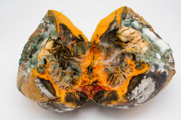 Close-up of a rotten pumpkin cut in half on a white background