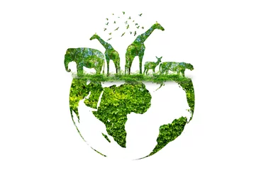 Foto op Aluminium wildlife silhouette on earth wildlife conservation concept © sarayut_sy