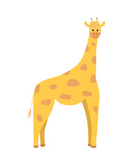 Cute cartoon giraffe. Vector illustration of an African animal isolated on white