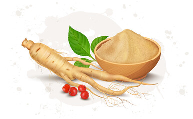 Ginseng root and powder vector illustration with ginseng seeds