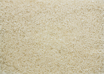 Japanese white rice grains in full screen. Typical japan rice in full screen.