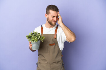 Gardener caucasian man holding a plant isolated on yellow background with headache