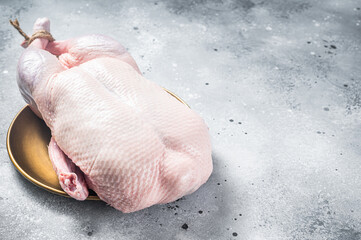 Raw free range whole duck. White background. Top view. Copy space