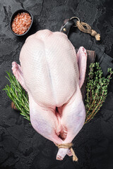 Fresh Raw whole duck with herbs and spices. Black background. Top view