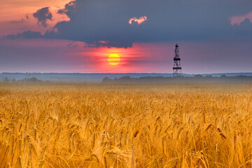 A field of wheat or barley at sunrise or sunset against a cloudy sky and an oil or gas drilling rig